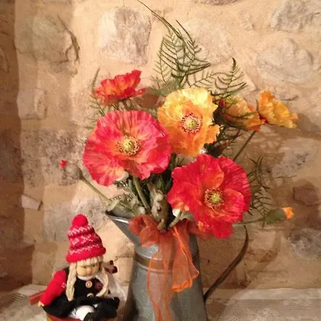 Ristorante Vecchia Broglie Bed & Breakfast *